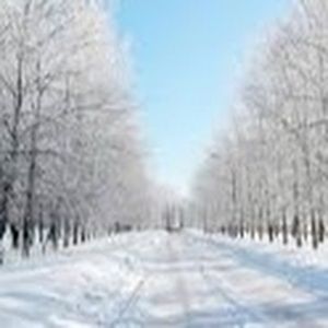 Meet your Posher, Natalia